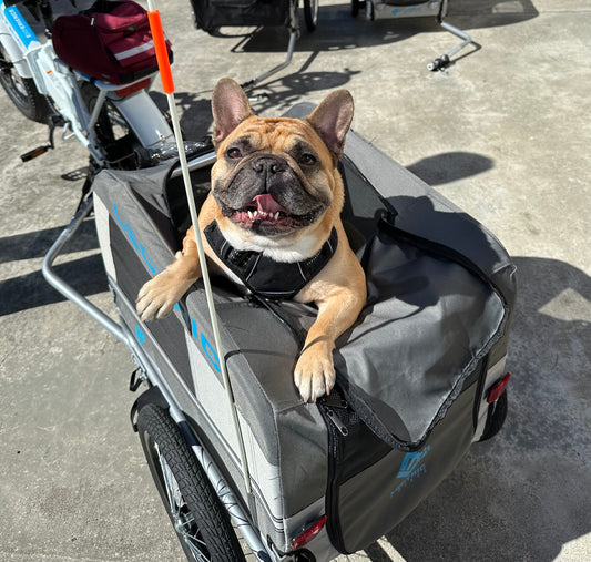 Utilisation d’une cage de transport pour chien à vélo électrique | Lectric eBikes