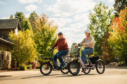 Your Guide to Fall Foliage eBike Rides