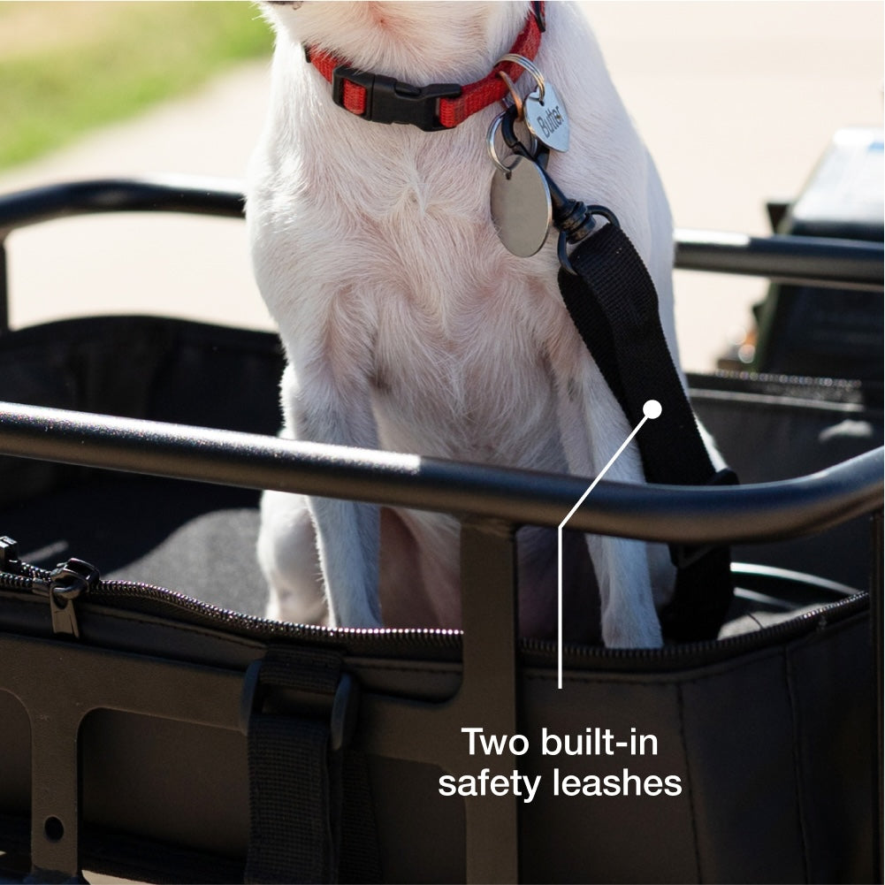 Small Pet Carrier